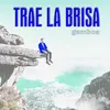 About Trae la Brisa Song
