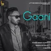 About Gaani Song