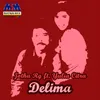 About Delima Song