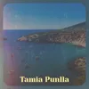 Tamia Punlla