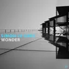 Wonder Dance Radio Mix