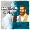 About Zu Neçin Song
