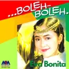 About Boleh Boleh Song