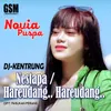 About DJ Kentrung Nestapa Hareudang Song