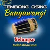 About Nelongso Song
