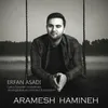 Aramesh Hamineh