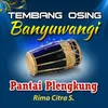 About Pantai Plengkung Song