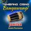 About Jamilah Song