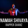 About Namah Shivaya Song