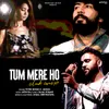 About Tum Mere Ho Club Mix Song