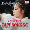 About DJ Remix Tapi Bohong Song