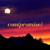 Com(Promise)