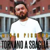 About Tornano a sbaglia' Song