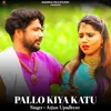 Palo Kiya Kaatu Rajasthani Lokgeet DJ Song