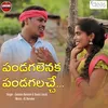 About Pandugalenuka Latest Folk Song Song