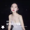 About 你只是一个过客 Song