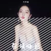 About 引领嗨圈（Remix） Song