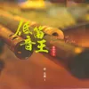 谁是英雄（主题变奏）