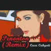 About Penonton Remix Song