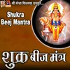 About Shukra Beej Mantra Song