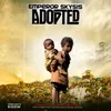 About Adopted From Birth Riddim Song