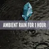Ambience & Rain