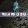 Fall Asleep to Rain