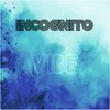 About INCOGNITO Song