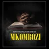 About Mkombozi Song