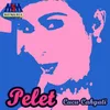 About Pelet Song