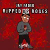 About Ripped up Roses Song