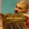 About Saro Sneen Song