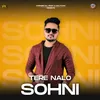 About Tere Nallo Sohni Song