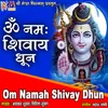 About Om Namah Shivay Dhun Song