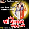 About Aevu Shree Vallabh Prabhu Nu Naam Song