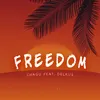 About Freedom Song