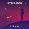About Neden Bilmem Akustik Song