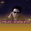 About כלים שלובים Song