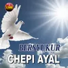 About Bersyukur Song