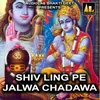 Shiv Ling Pe Jalwa Chadawa