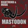 About Mastodon Song