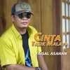 About Cinta Tasik Malaya Song
