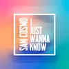 About I Just Wanna Know Song