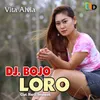 About Dj Bojo Loro Song