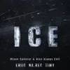 About Ice Mixon Spencer & Alex Klaays Edit Song