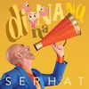 About Di Na Na Na Song