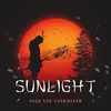About Sunlight Song