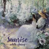 About Sunrise Song