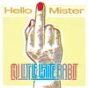 About Hello Mister Song