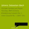 Brandenburg Concerto No. 4 in G Major, BWV 1049: III. Presto